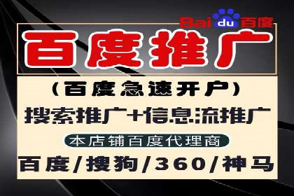 SEM服务助力电商行业案例解读